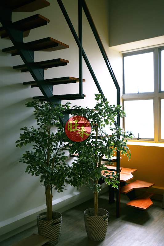 The staircase with potted plants beside a window - Office loft with a cantilevered steel and timber staircase (HomeOffice) | Wong Lye, BCA General Builder Class 2, Singapore