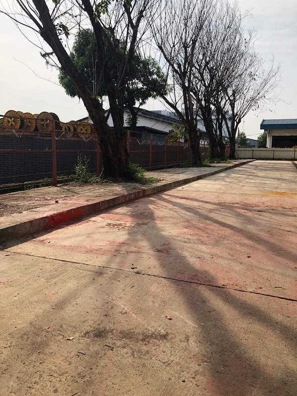 Before: the open yard with trees and drums stored along the fence - Heavy-duty cable drum racking in a cable yard (TSE) | Wong Lye, BCA General Builder Class 2, Singapore